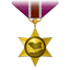 TOP CAPTURE ZONES MEDAL